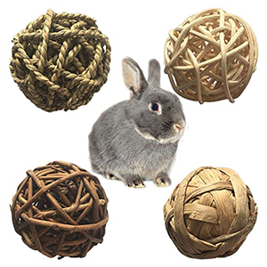 Small Animal Activity Toys